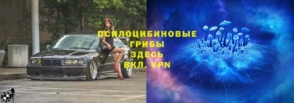 тгк Белокуриха