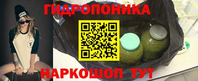 прущие грибы Балаково