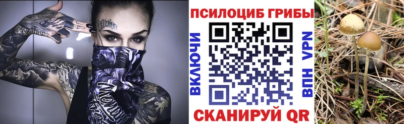 Псилоцибиновые грибы Psilocybe  закладки  Вятские Поляны 