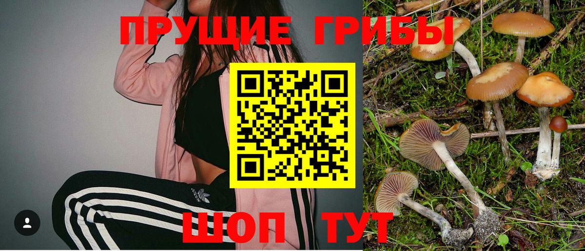 Вятские Поляны  Псилоцибиновые грибы ЛСД  Галлюциногенные грибы мицелий  Вход с VPN 