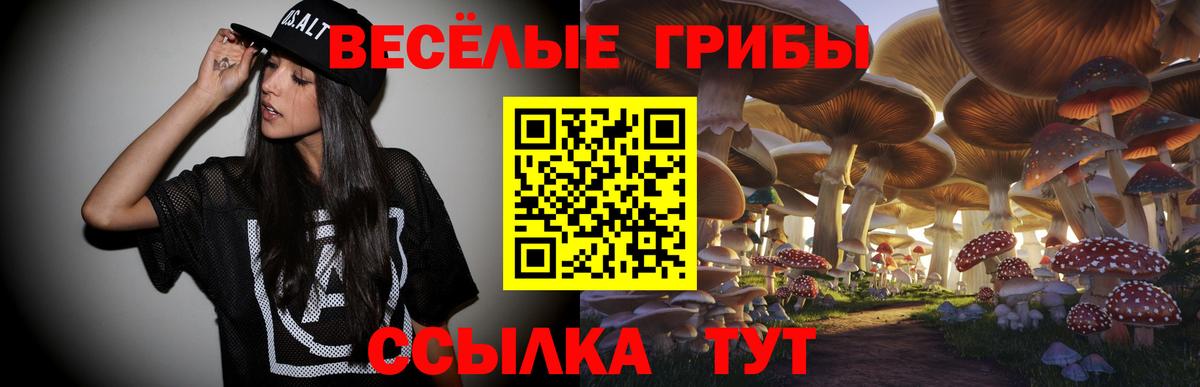 Галлюциногенные грибы мицелий Вятские Поляны